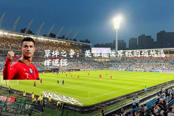 草坪之争：美加墨世界杯的场地选择逻辑